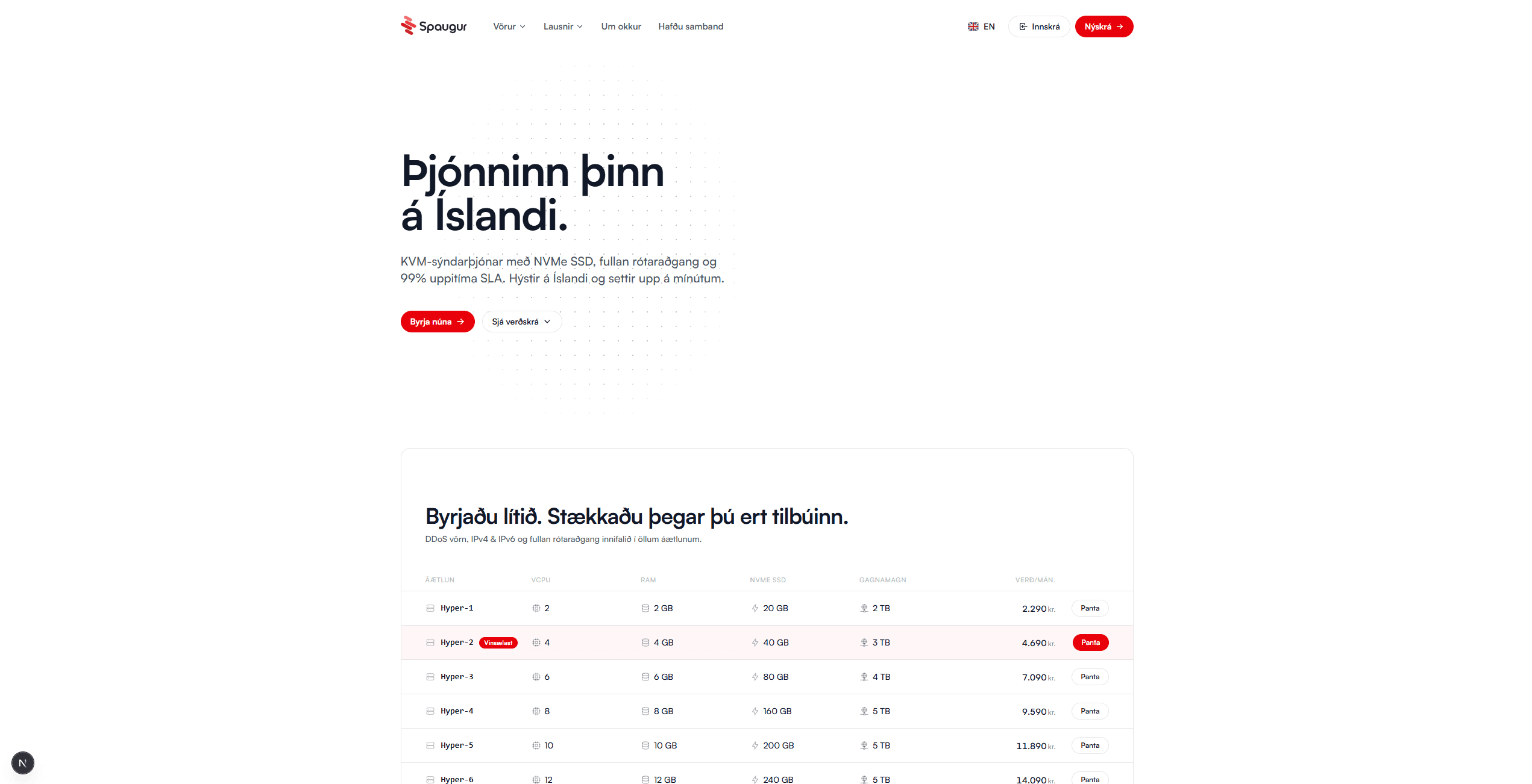 Sýndarþjónasíða Spaugur.is 2.0 með verðskrá